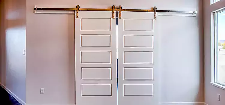 Glass Barn Door with Installation Hardware Kit Drexel Hill
