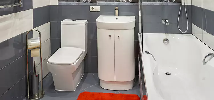 Hansgrohe Shaving Mirror Drexel Hill